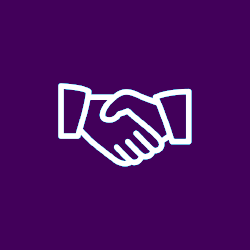 mydataq negocios