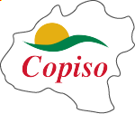 most relevant company in Soria